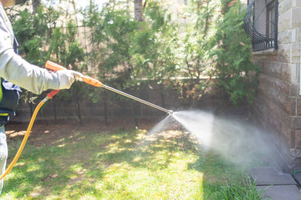 Wasp Removal Services in Old Saybrook Center, CT